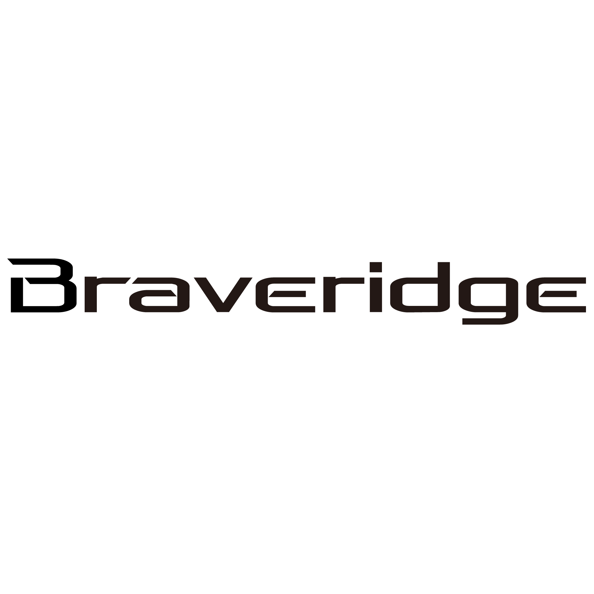 株式会社Braveridgeのイメージ